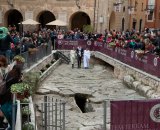 Cerimonia di Premiazione