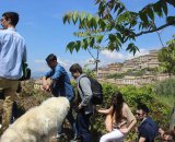 Visita alla Città di Arpino 2016