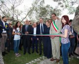 Visita all'Acropoli di Civitavecchia e alla Torre