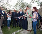 Visita all'Acropoli di Civitavecchia e alla Torre