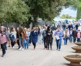 Visita a Montecassino